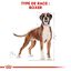 Royal Canin - Croquettes Boxer pour Chien Adulte - 12Kg Indicateur image numéro 3