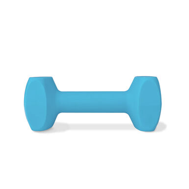 Company of Animals - Jouet Coachi Training Dumbbell Bleu pour Chiens