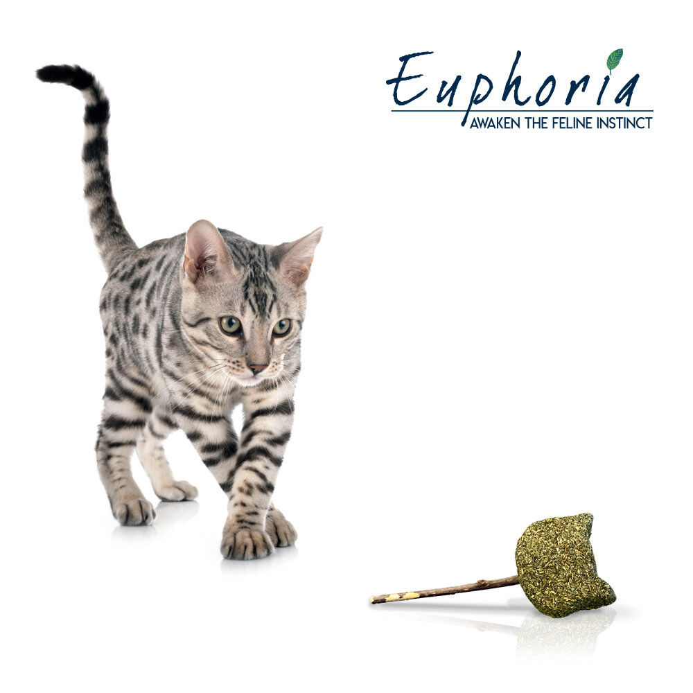 Croci - Jouet Baguette Catnip Euphoria Etoile - 12cm Image num&eacute;ro 3