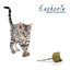 Croci - Jouet Baguette Catnip Euphoria Etoile - 12cm Indicateur image numéro 3
