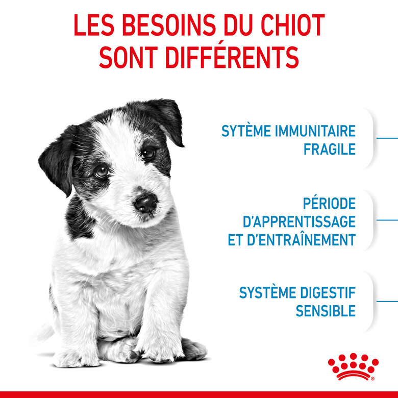 Royal Canin - Croquettes Mini Puppy pour Chiot - 2Kg Image numéro 2 Royal Canin - Croquettes Mini Puppy pour Chiot - 2Kg Image numéro 2