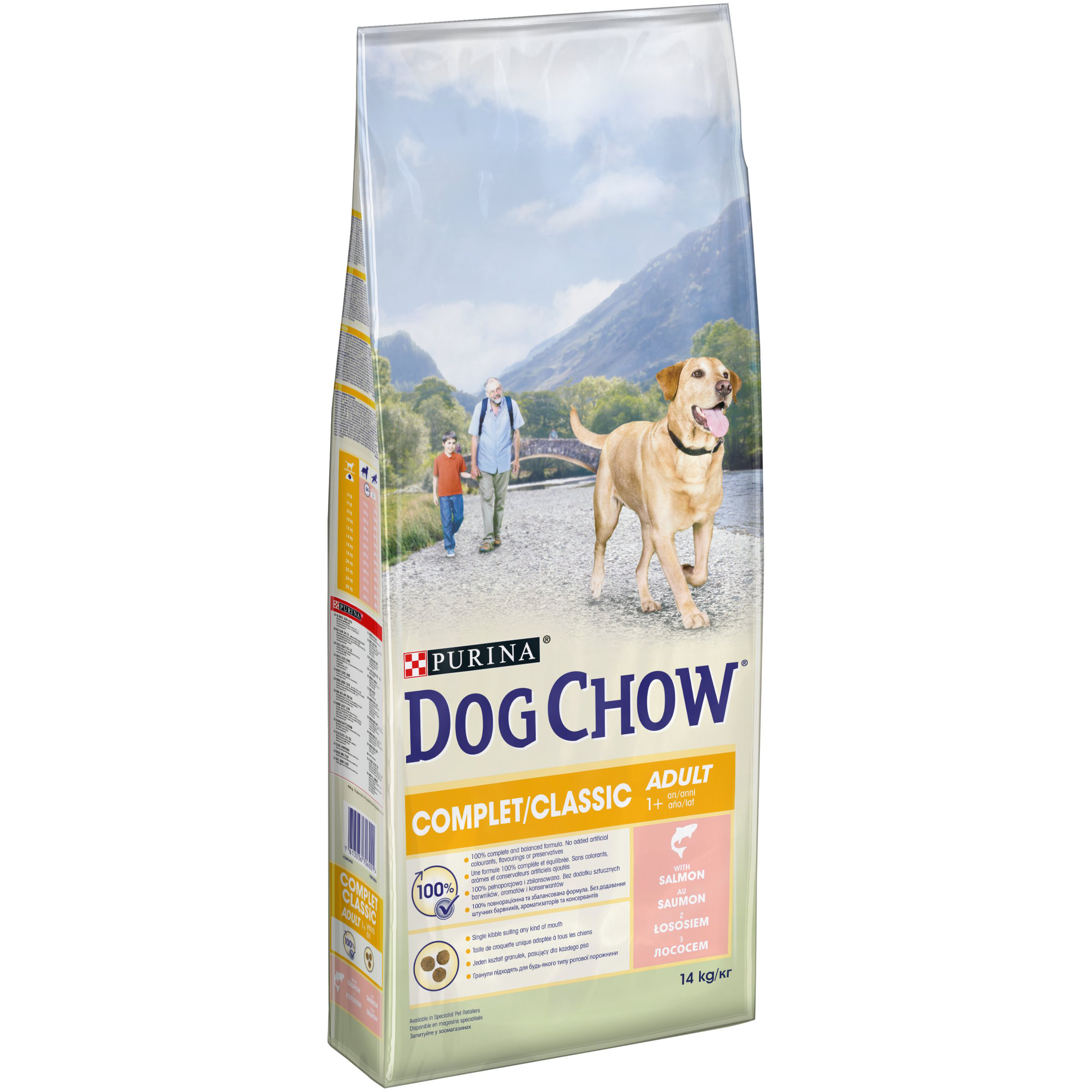 Dog Chow - Croquettes Complet au Saumon pour Chien Adulte - 14Kg Image num&eacute;ro 1