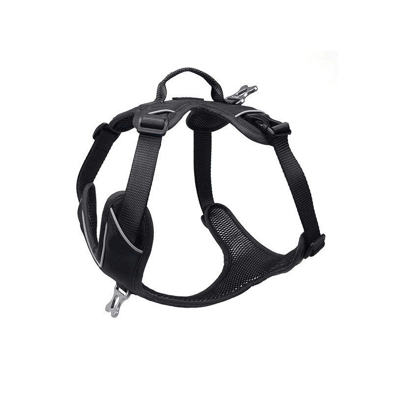 Kyflie - Harnais de promenade MOMENTUM Noir pour Chien - S Image num&eacute;ro 1