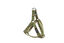 Gotoo - Harnais à motif Botanic Vert pour chien - XS Indicateur image numéro 1
