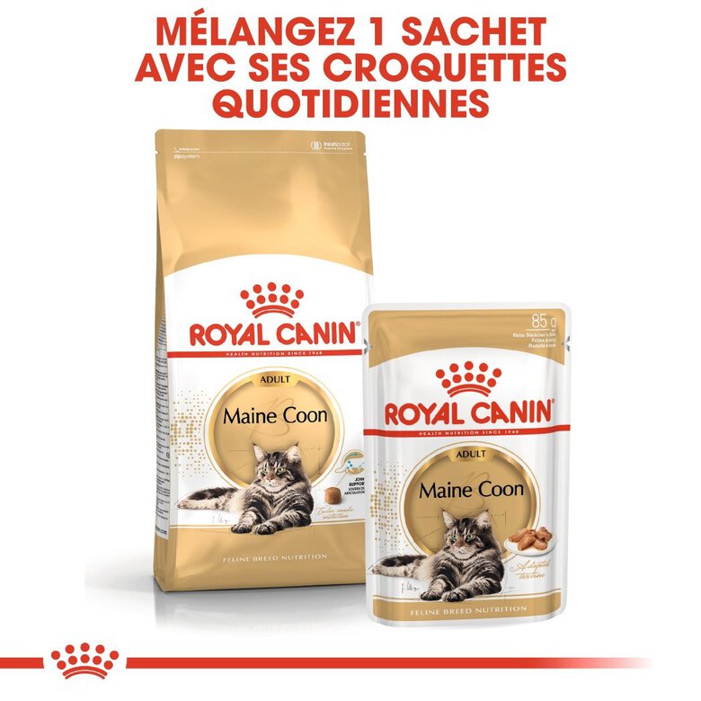 Royal Canin - Sachets Maine Coon en Sauce pour Chat - 12x85g Image numéro 5 Royal Canin - Sachets Maine Coon en Sauce pour Chat - 12x85g Image numéro 5