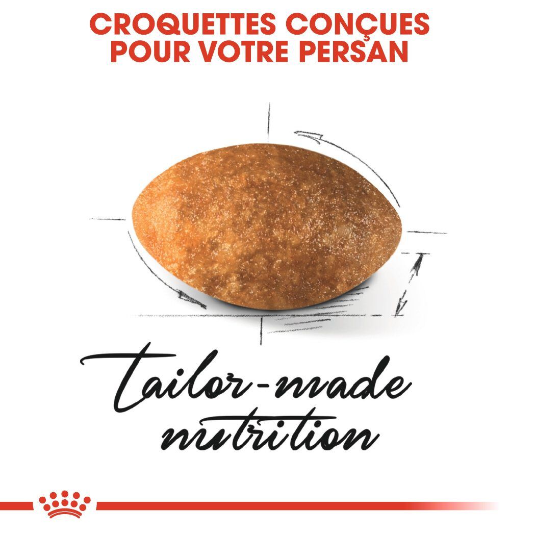Royal Canin - Croquettes Persian pour Chat Adulte &agrave; partir de 12 Mois - 4Kg Image num&eacute;ro 4