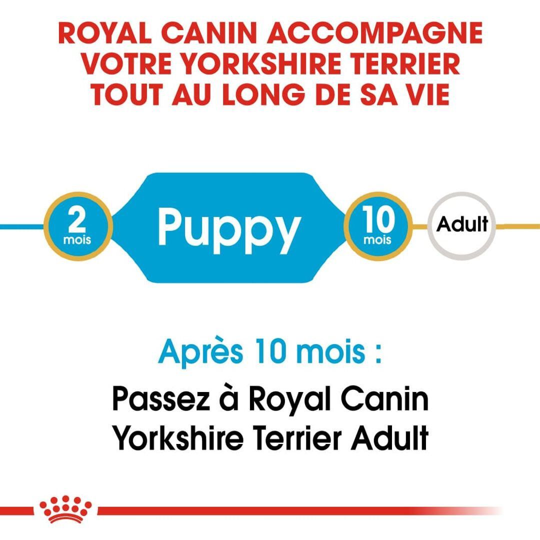 Royal Canin - Croquettes PUPPY YORKSHIRE TERRIER pour chiots - 7,5KG Image num&eacute;ro 3