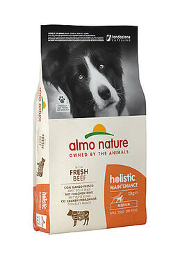 Almo Nature Holistic - Adulte Moyenne Race Bœuf Frais - Sac 12 Kg