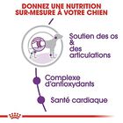 Royal Canin - Croquettes Giant Adult pour Chien - 15Kg image number null