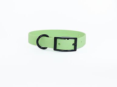 eKys - Collier Biothane 18mm pour Chien - Vert