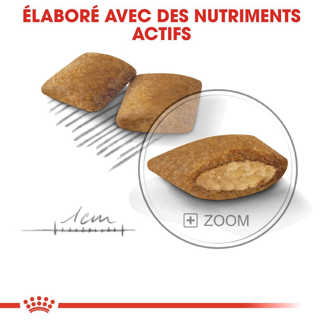 Royal Canin - Croquettes Mini Exigent pour Chien - 3Kg Image num&eacute;ro 5