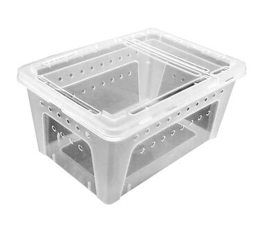 Reptiles Planet - Boite Elevage Reptiles ou Insectes M  - 26x17,5x11,5cm
