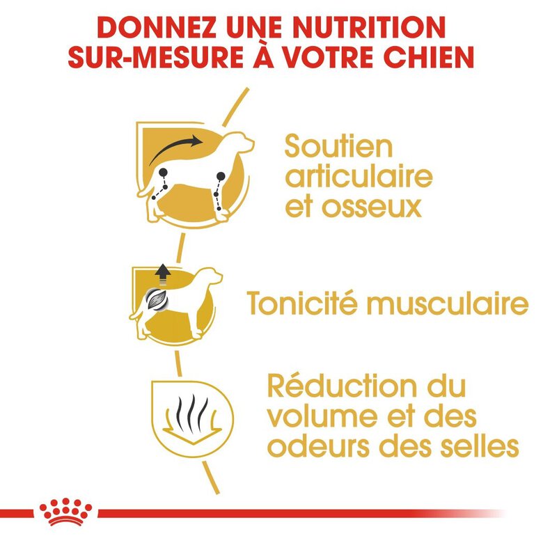 Royal Canin - Croquettes Teckel pour Chien Adulte - 1,5Kg Image numéro 3 Royal Canin - Croquettes Teckel pour Chien Adulte - 1,5Kg Image numéro 3