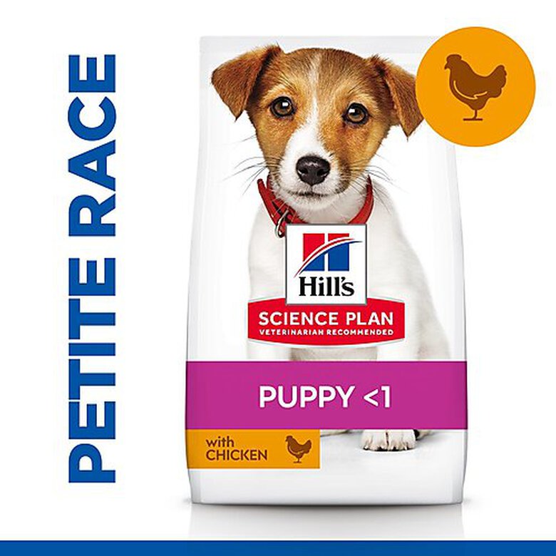 Hill's Science Plan - Puppy Small & Mini Croquettes Pour Chiot De Petite Taille Au Poulet  -  1,5kg Image numéro 3 Hill's Science Plan - Puppy Small & Mini Croquettes Pour Chiot De Petite Taille Au Poulet  -  1,5kg Image numéro 3
