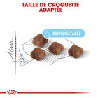 Royal Canin - Croquettes Mother & Babycat pour Chaton - 4Kg image number null
