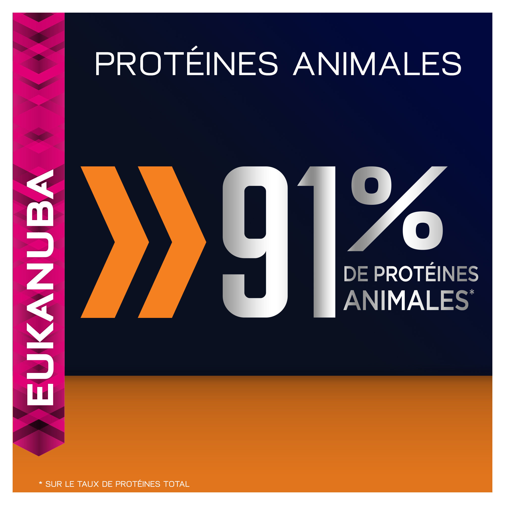 Eukanuba - Croquettes Top Condition 1+ au Poulet et Foie pour Chat Image num&eacute;ro 5