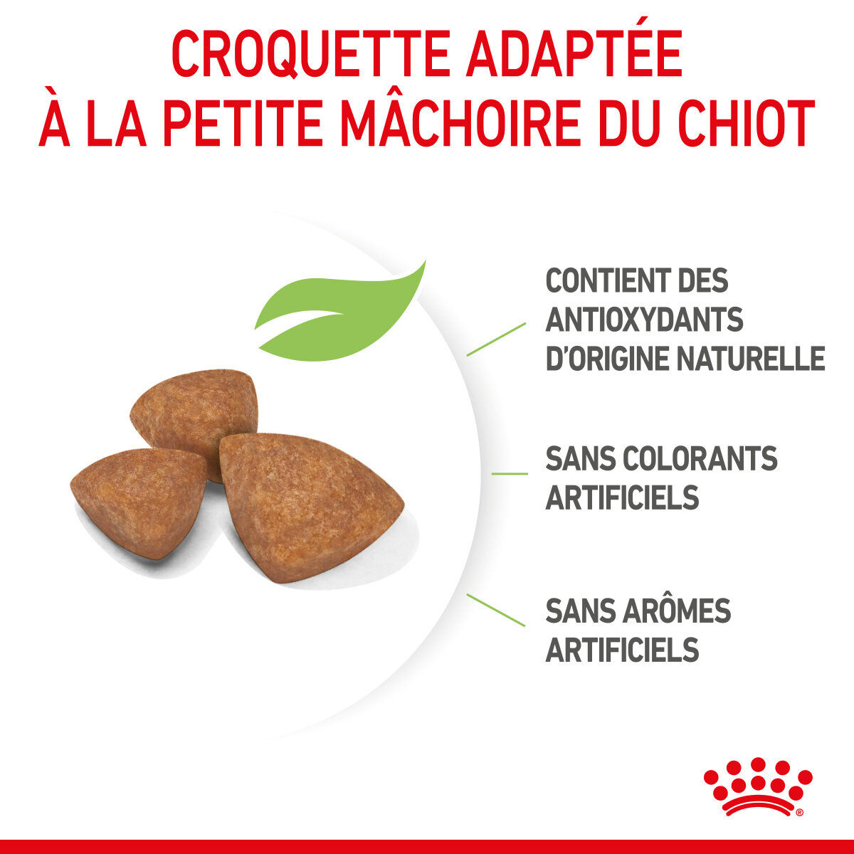Royal Canin - Croquettes Puppy X-Small pour Chiots de 2 &agrave; 10 Mois - 3Kg Image num&eacute;ro 5