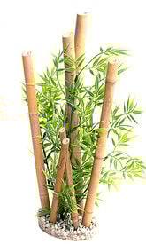 Tyrol - Décoration Bambou Plantes + support pour Aquarium - 38cm