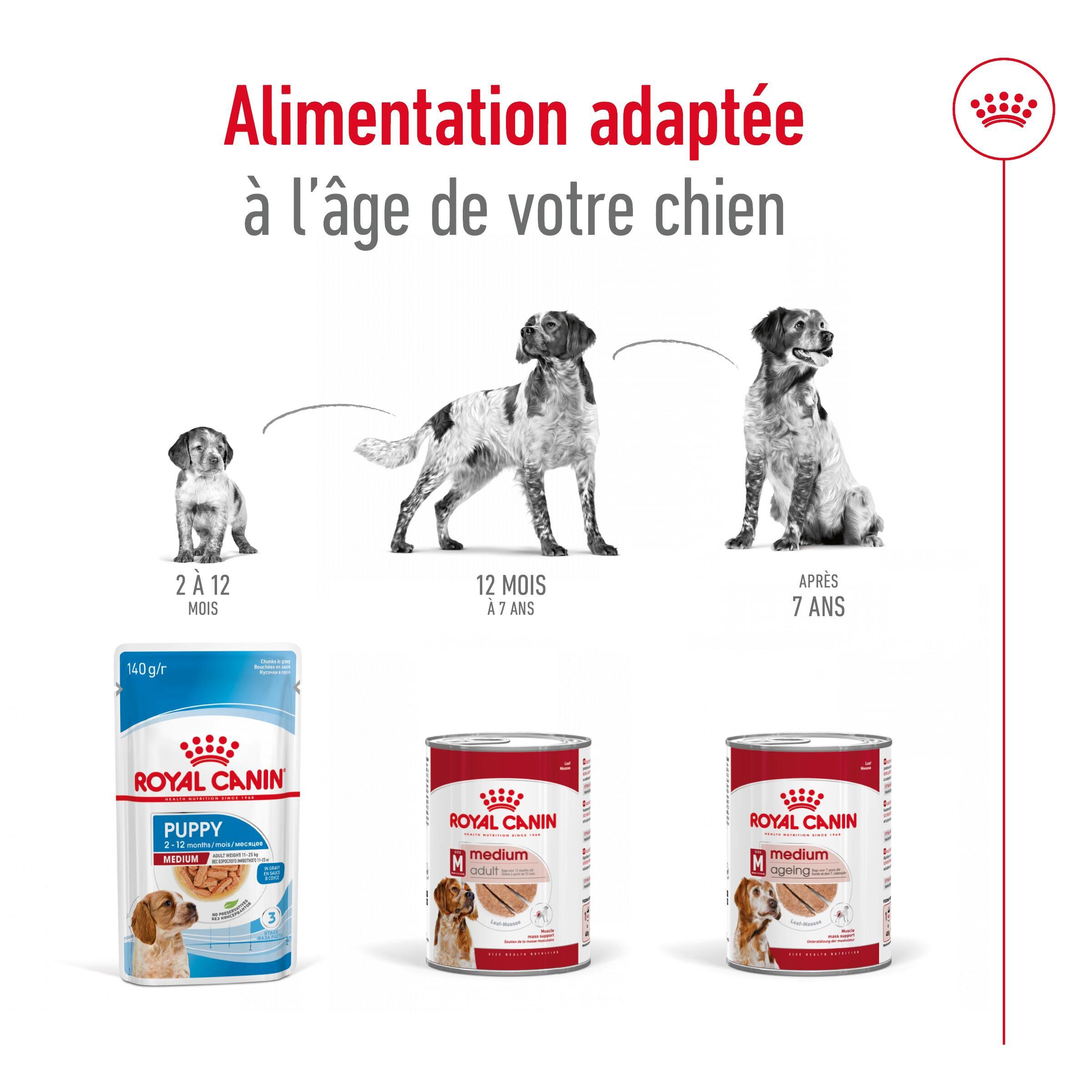 Royal Canin - P&acirc;t&eacute;e en Mousse Medium Ageing Adult M - 410g Image num&eacute;ro 5