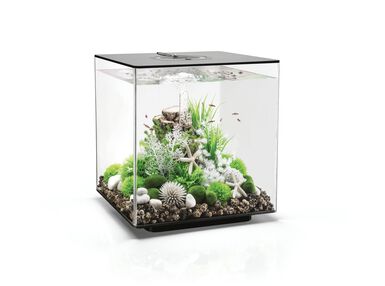 biOrb - Aquarium Cube - 60 mcr noir