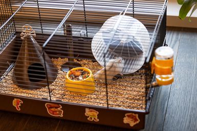 Ferplast - Cage Criceti 9 Pirates pour Hamsters