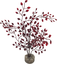 Labeo - Plante Décorative Herbe Fine pour Aquarium Indicateur image numéro 1