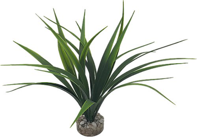 Labeo - Plante Décorative Herbe Marine pour Aquarium