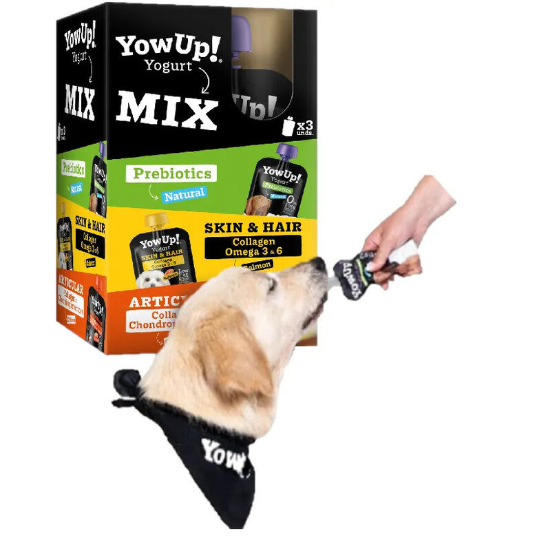 Yowup - Yaourt Mix pour Chiens - 3x115g Image numéro 1 Yowup - Yaourt Mix pour Chiens - 3x115g Image numéro 1