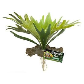 Zoomed - Plante Artificielle Staghorn Fern pour Terrarium