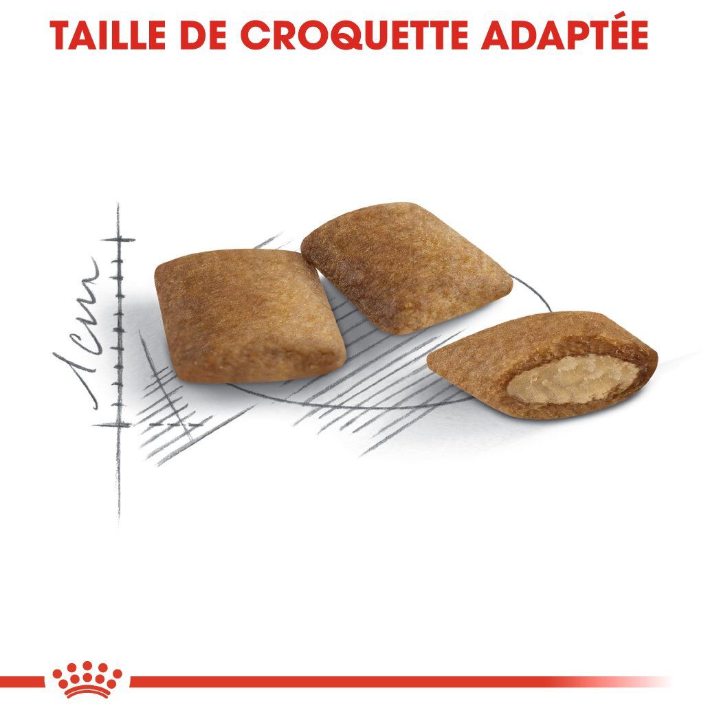 Royal Canin - Croquettes Ageing +12 pour Chat Senior - 4Kg Image num&eacute;ro 6