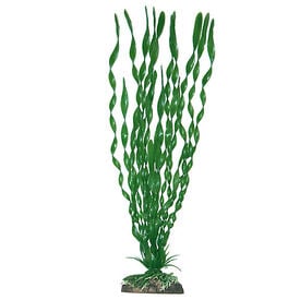 Amtra - Décoration Plante Classic Valisneria Major - S