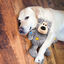Kong - Peluche Wild Knots Bear Ours pour Chien - M/L Indicateur image numéro 2