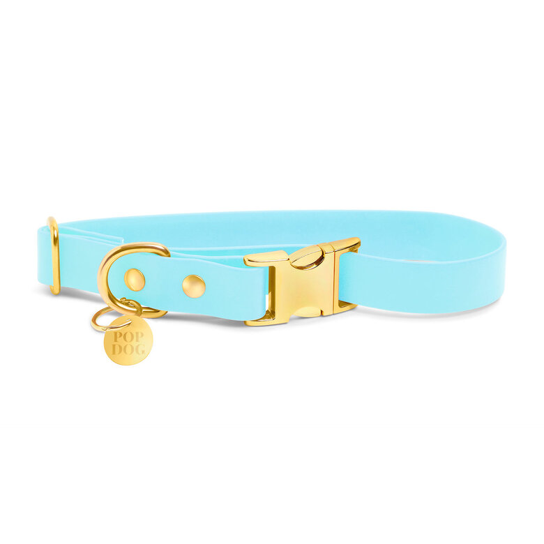Pop Dog - Collier Dragueur Bleu pour Chien - S Image numéro 2 Pop Dog - Collier Dragueur Bleu pour Chien - S Image numéro 2