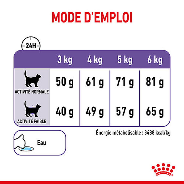 Royal Canin - Croquettes Appetite Control Care pour Chat - 10Kg image number null