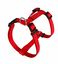 Animalis - Harnais Basic Rouge pour Chien - T0 12mm et 32/45cm Indicateur image numéro 1