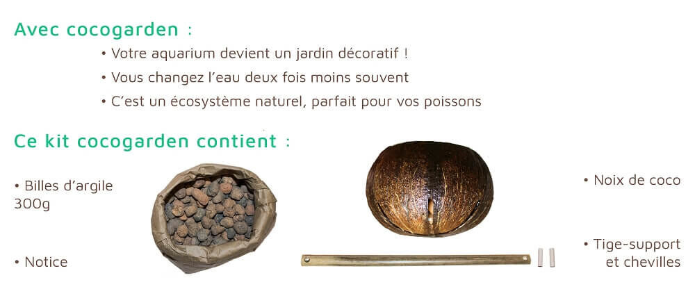 CocoPlant - Filtration Naturelle CocoGarden sans Pompe pour Aquarium Image num&eacute;ro 4