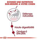 Royal Canin - Croquettes Medium Adult pour Chien - 15Kg image number null