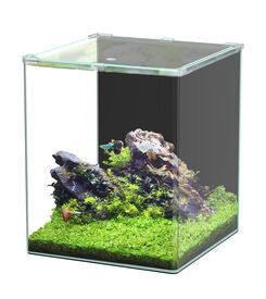 Aquatlantis - Aquarium Kubus Curve 65L - Basic
