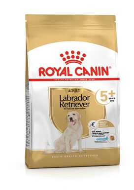 Royal Canin - Croquettes Labrador Adult 5+ Pour Chien