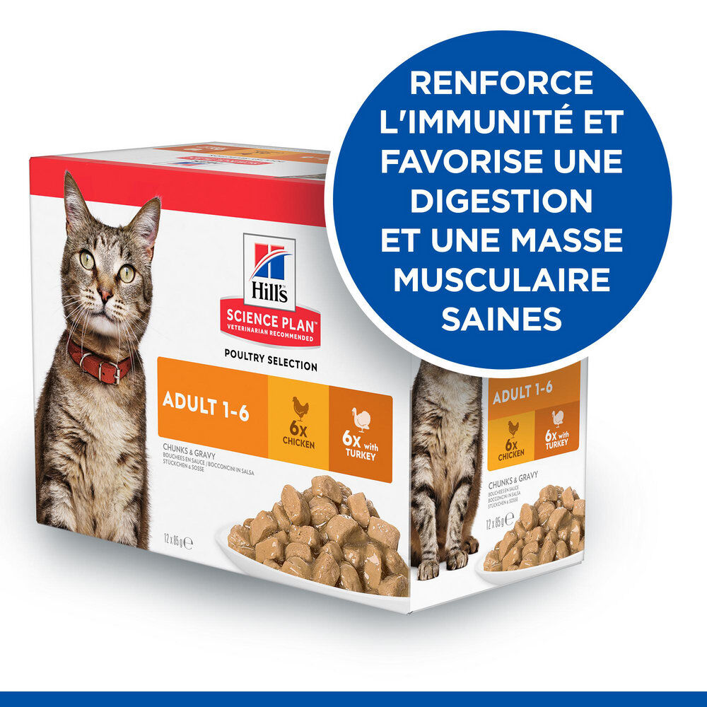 Hill's Science Plan - Multipack Adult Poulet et Dinde pour Chatons - 12x85g Image num&eacute;ro 1