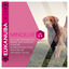 Eukanuba - Croquettes au Poulet pour Chien de Grande Taille Surpoids - 15Kg Indicateur image numéro 4