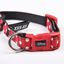 For Fan Pets - Collier Minnie en Nylon pour Chien - XXS/XS Indicateur image numéro 5