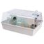 Ferplast - Cage Mini Duna pour Hamster - Blanc Indicateur image numéro 3