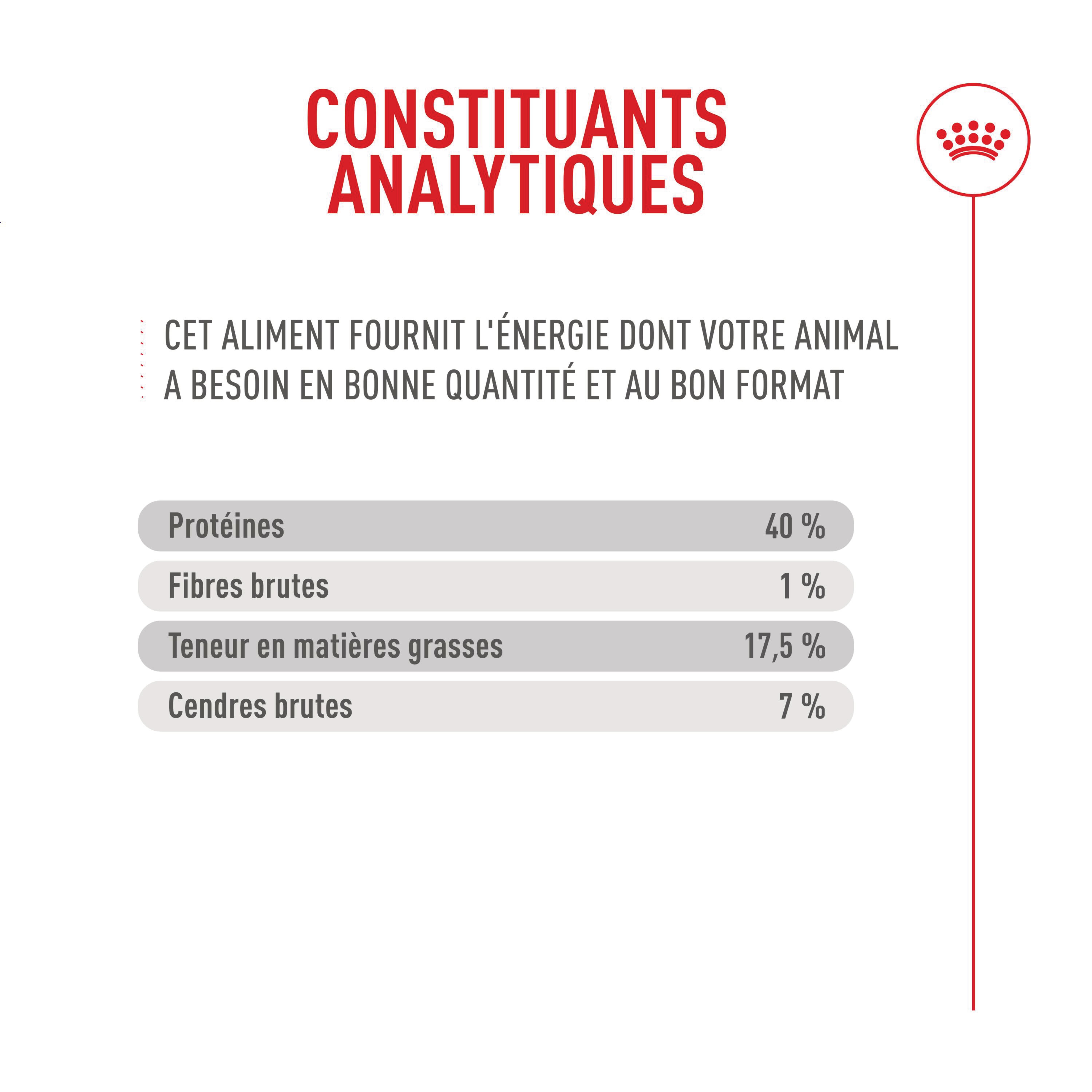 Royal Canin - Croquettes Fussy Exigent pour Chats Difficiles - 4Kg Image num&eacute;ro 9