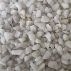 Aquadisio - Gravier Gros Blanc en Doypack - 1Kg image number null