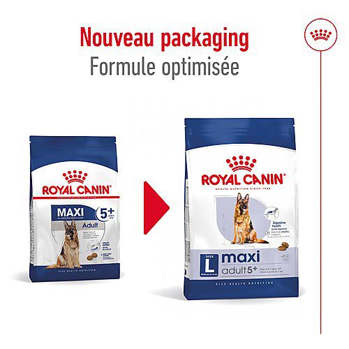 Royal Canin - Croquettes Maxi Adulte 5+ pour Chien Adulte - 15Kg Image num&eacute;ro 11