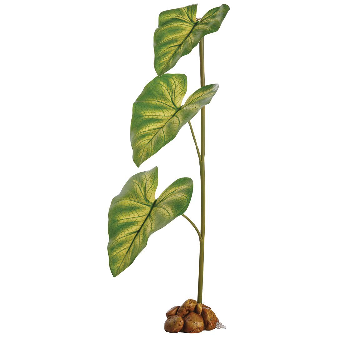 Exo Terra - D&eacute;coration Plante Dripper Plant pour Reptiles - L Image num&eacute;ro 1
