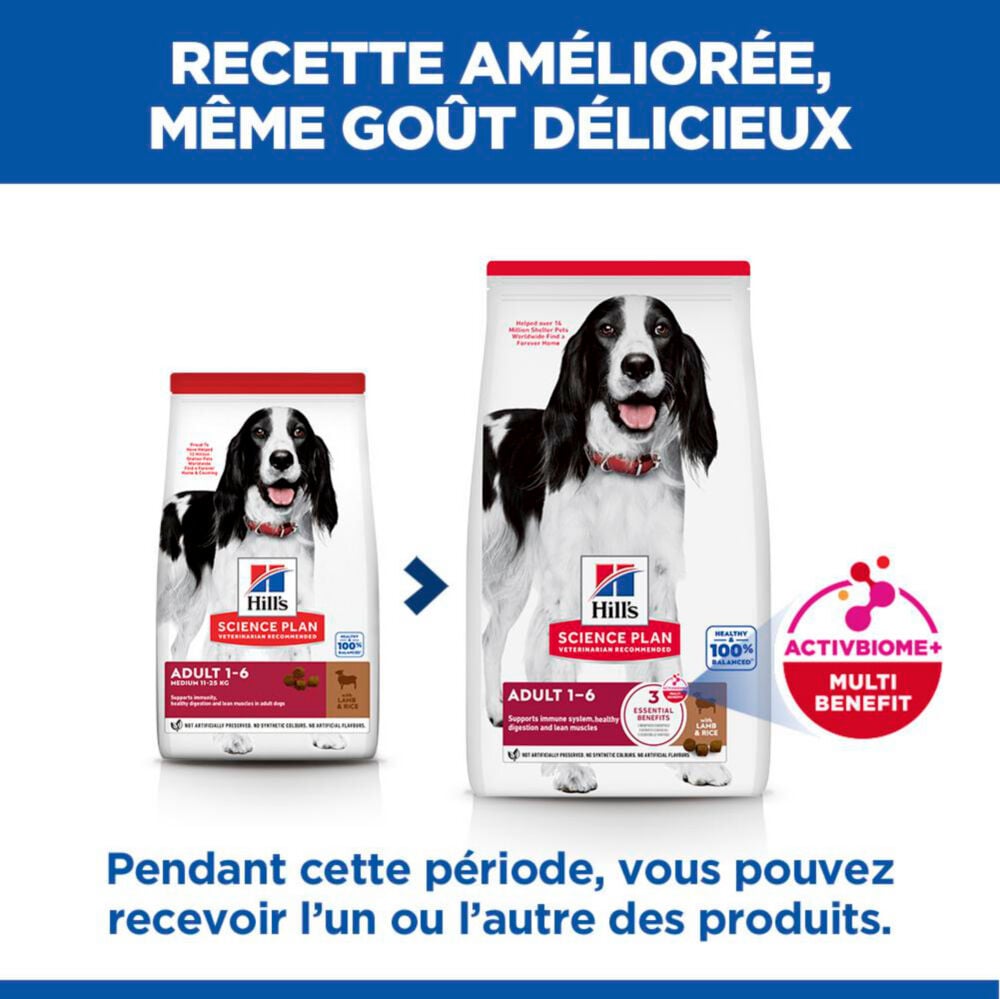 Hill's Science Plan - Adult Croquettes Pour Chien A L'agneau Et Riz  - 12kg Image num&eacute;ro 5