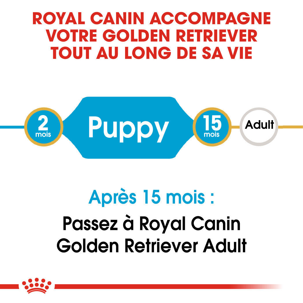 Royal Canin - Croquettes Golden Retriever Junior pour Chiot - 12Kg Image num&eacute;ro 6