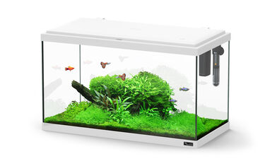 Aquatlantis - Aquarium Explorer Paris 60 - Blanc Equipé